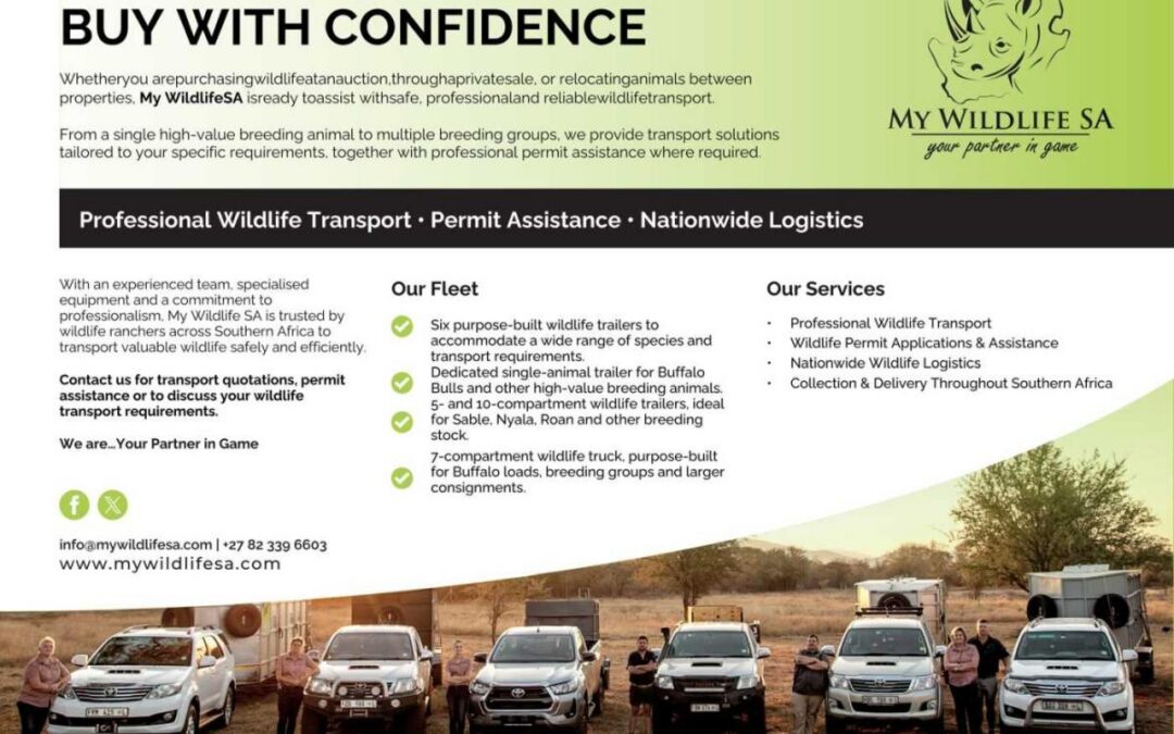 My Wildlife SA game transport truck loading wildlife after a live game auction for delivery to buyers' farms in South Africa