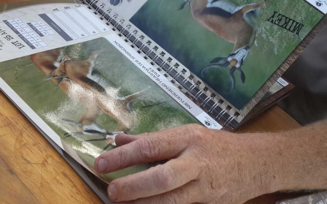 2017 Wildlife Auctions