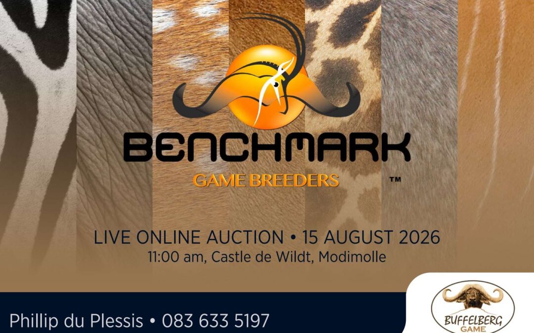 Benchmark Game Breeders Live Online Auction