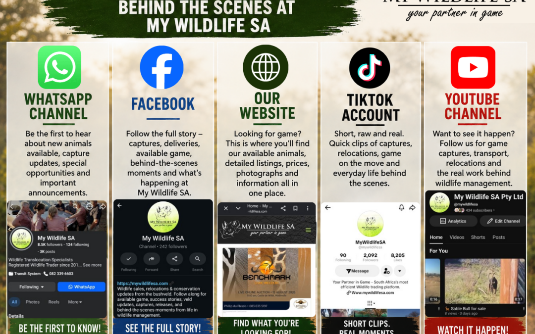 ONE JOURNEY. 5 ways to follow.
